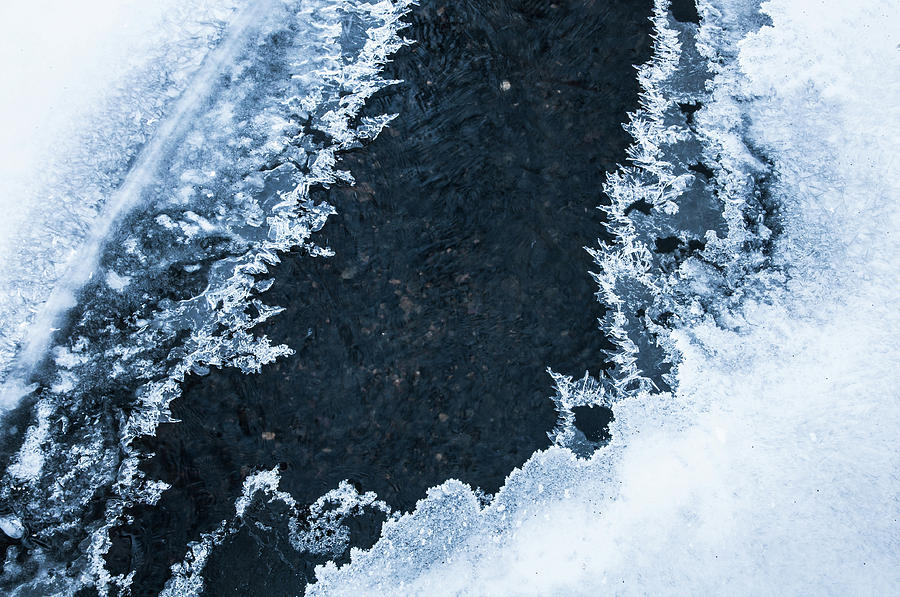 Blue Winter Patterns 1. Frozen Nature Photograph by Jenny Rainbow