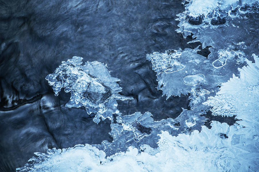 Blue Winter Patterns. Frozen Nature Photograph by Jenny Rainbow