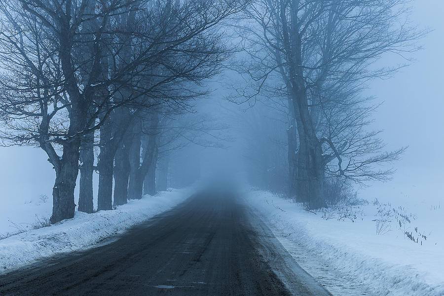 Blue Winter Photograph by Tim Kirchoff
