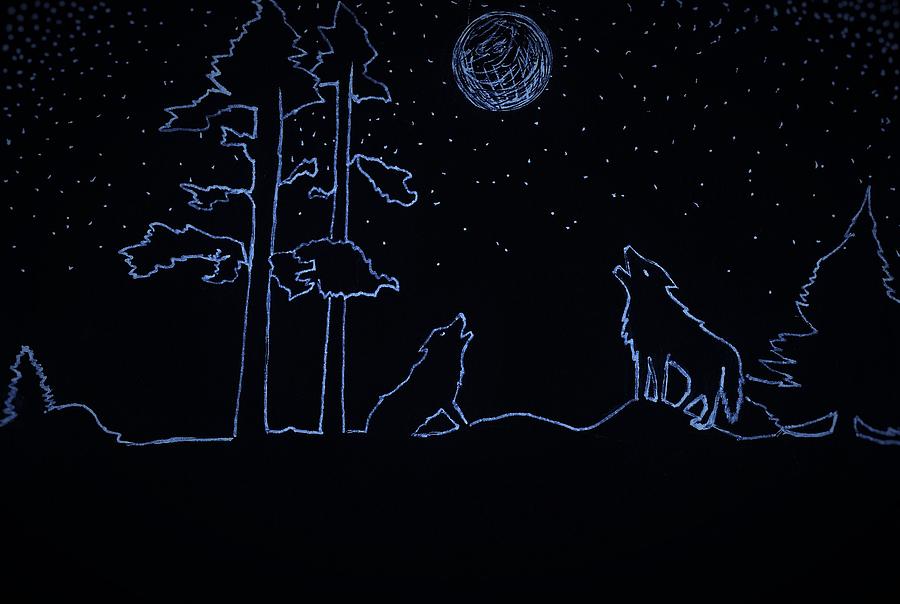 Blue Wolf Drawing by Shane Silva - Fine Art America