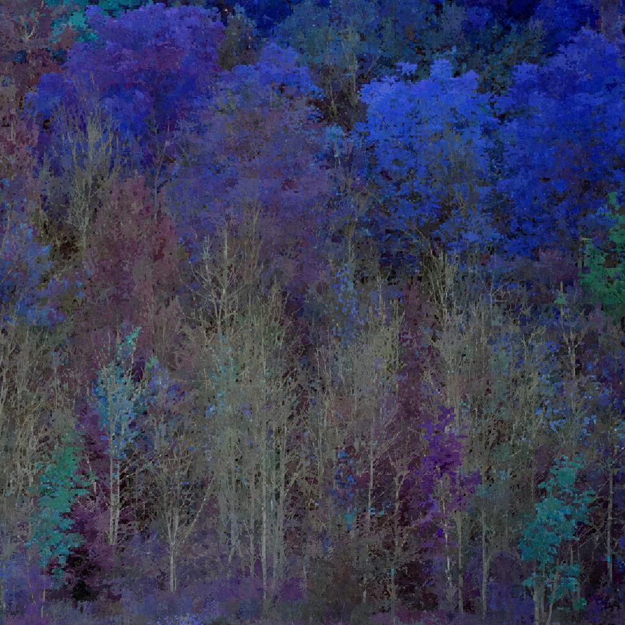 Blue Woods I Photograph by Joan Han