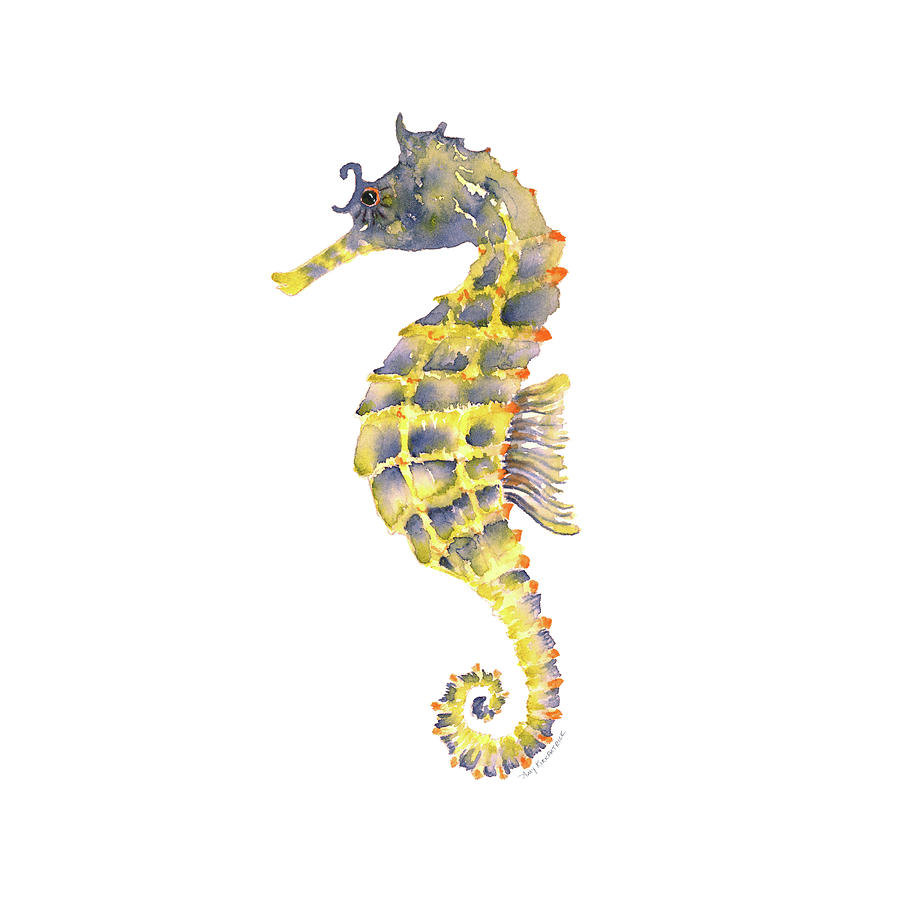 Seahorse Watercolor Painting - Blue Yellow Seahorse - Square by Amy Kirkpatrick