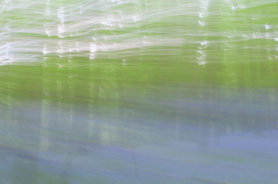 Bluebell Woods Abstract iv Photograph by Helen Jackson