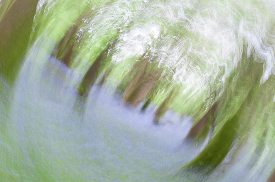 Bluebell Woods Abstract vi Photograph by Helen Jackson