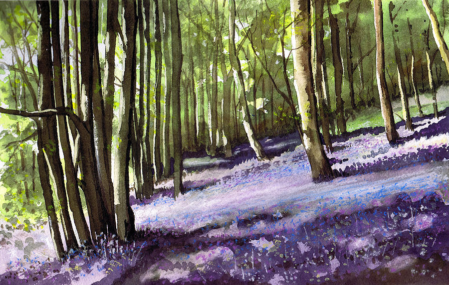 Bluebells at Grimescar wood Painting by Paul Dene Marlor