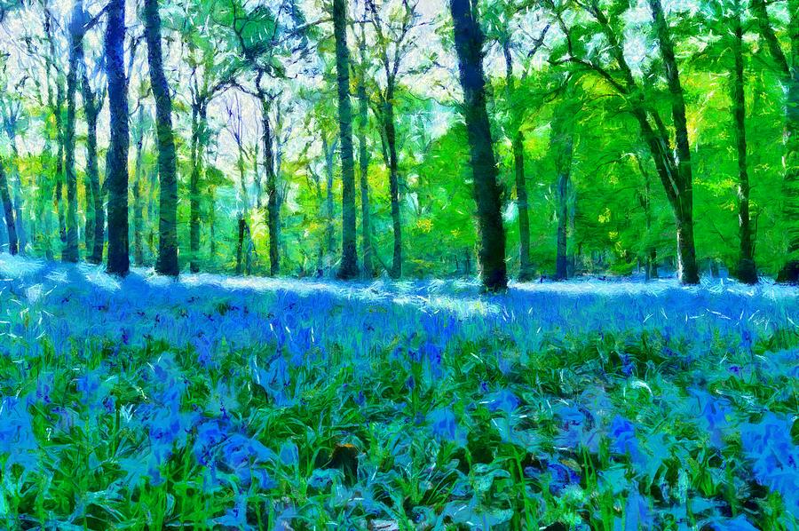 Bluebells in Woodland Photograph by Scott Carruthers