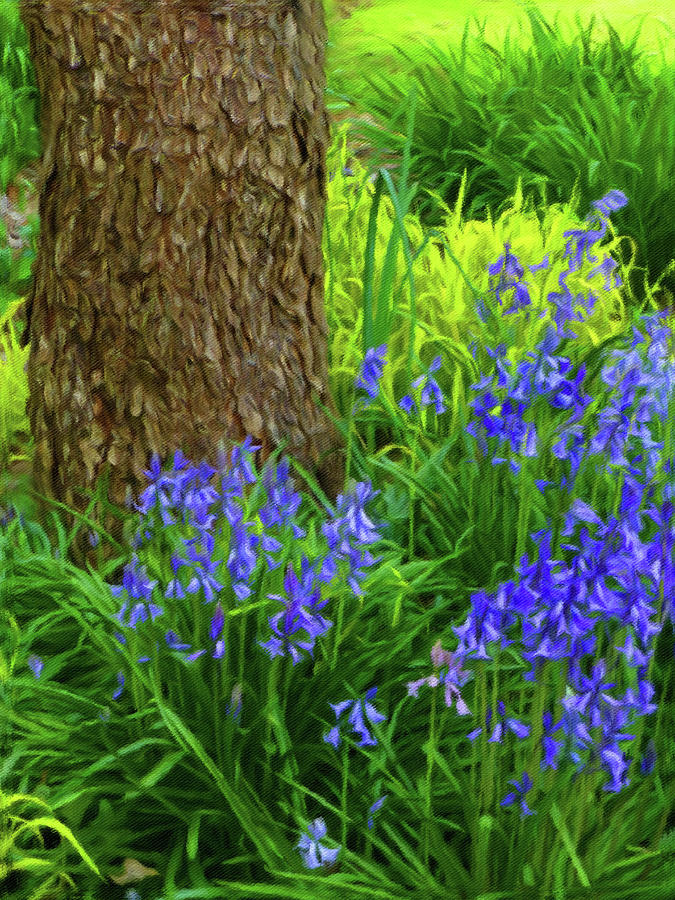 Bluebells Of Springtime  Photograph by Connie Handscomb