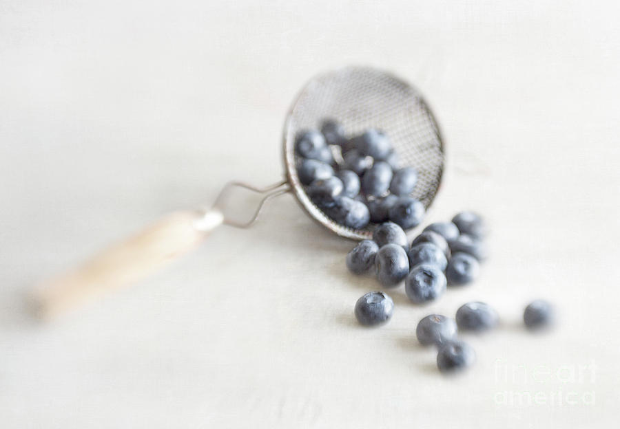Blueberries 1 Photograph by Elena Nosyreva