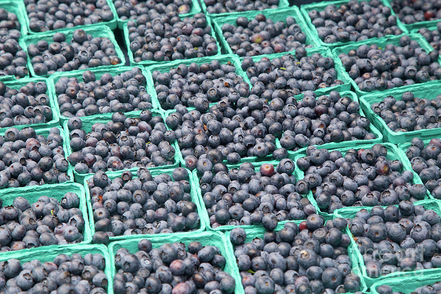 Blueberries At The Farmers Market Photograph by Bruce Block