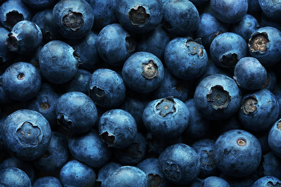 Blueberries Background Close-up Photograph by Johan Swanepoel