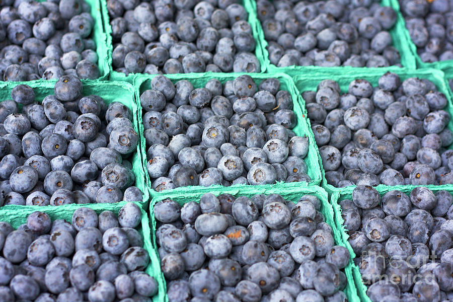 Blueberries Photograph by Bruce Block