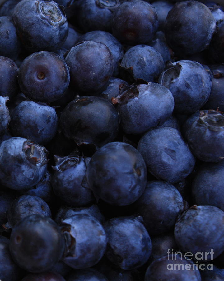Blueberries Close-up - Vertical Photograph