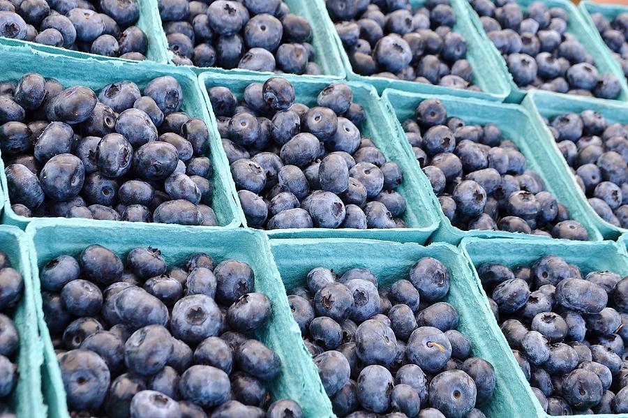 Blueberries Forever Photograph by Kim Bemis