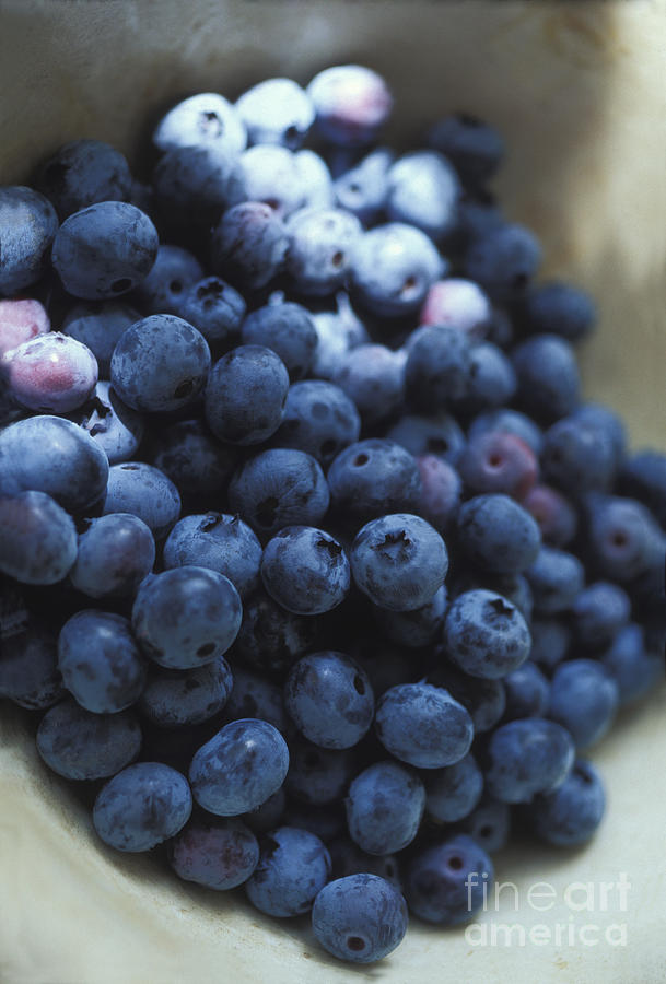 Blueberries In A Bowl Photograph by George Mattei
