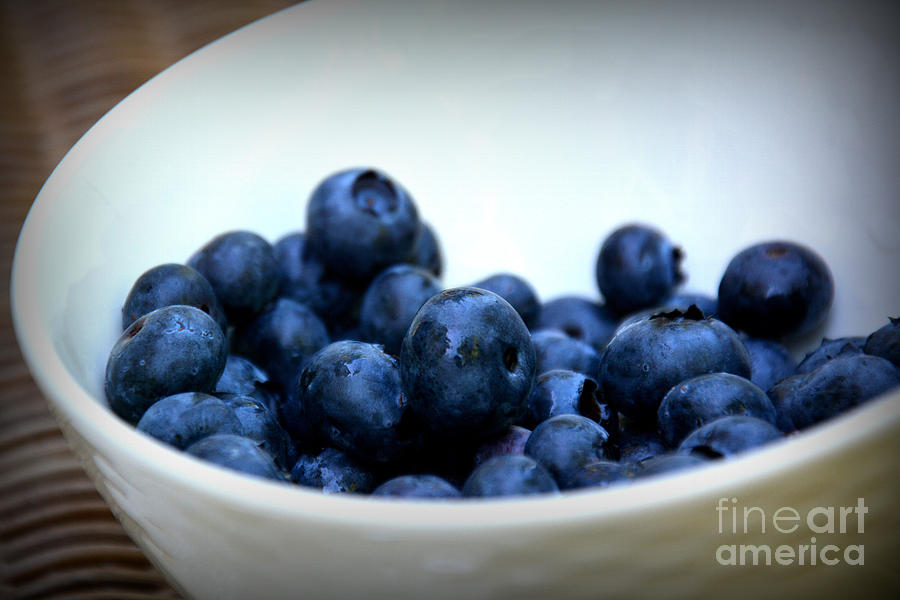 Blueberries in a White Bowl Photograph by Tatyana Searcy