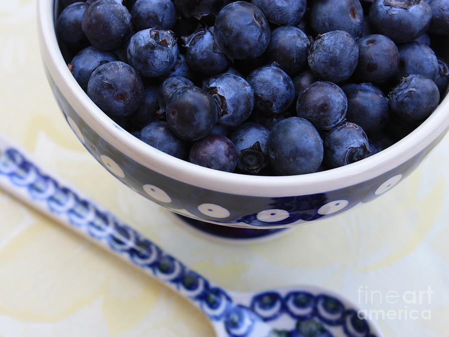 Blueberries in Polish Pottery Bowl Photograph by Carol Groenen