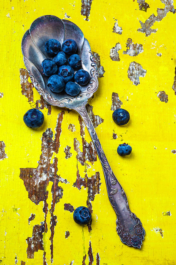 Blueberries In Silver Spoon Photograph by Garry Gay