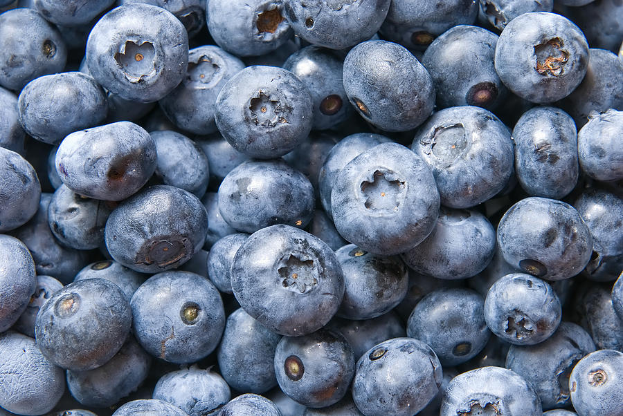 Blueberries Photograph by Jaroslaw Grudzinski
