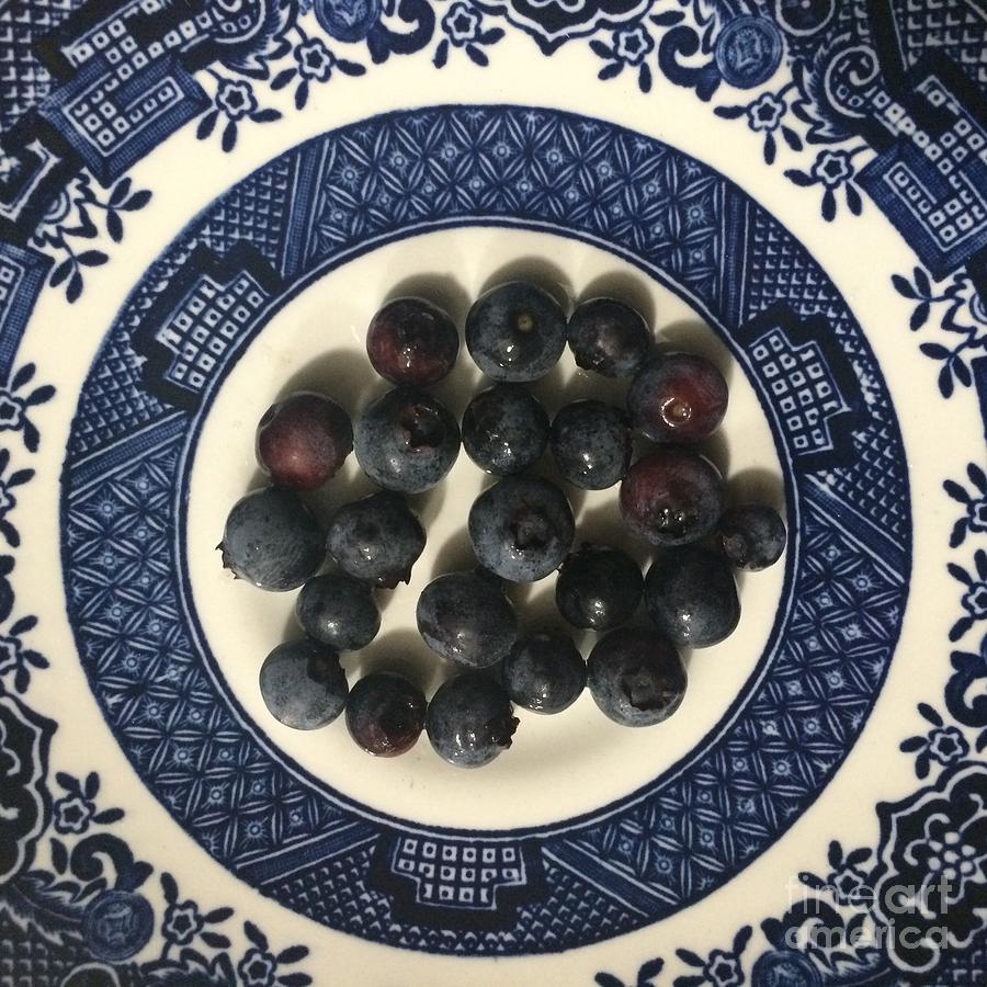 Blueberry Photograph - Blueberries on Blue and White Plate  by Robin Pedrero