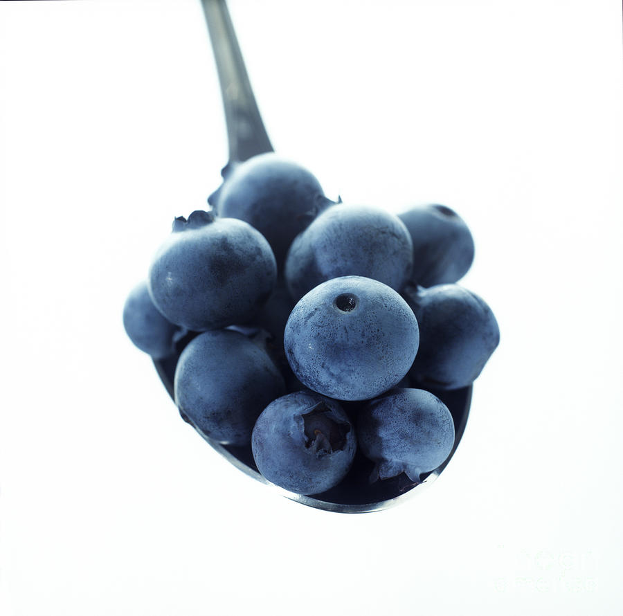 Blueberries On Spoon Photograph by George Mattei