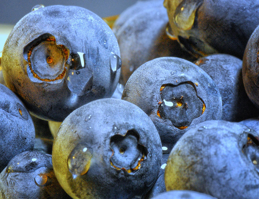 Blueberries Photograph by Peg Runyan