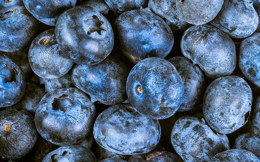 Blueberries Photograph by Sandi Kroll