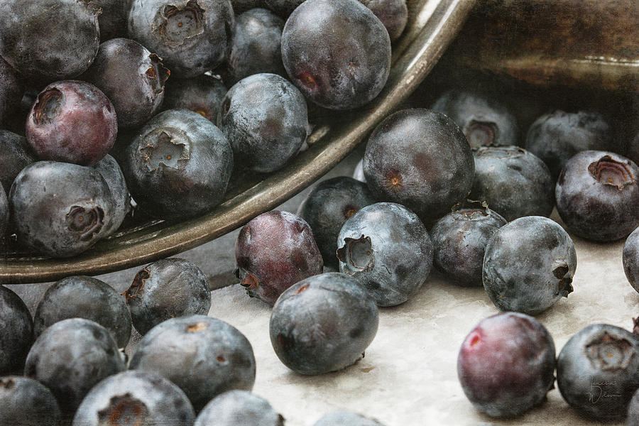 Blueberries Photograph by Teresa Wilson