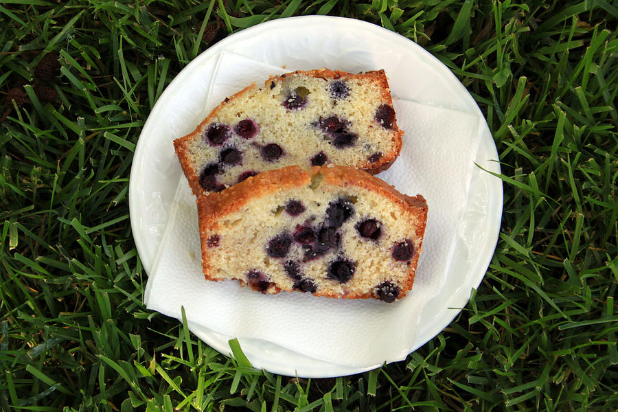 Baking Photograph - Blueberry Bread by Linda Woods