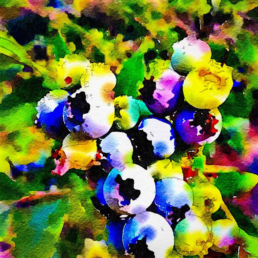 Abstract Photograph - Blueberry Bright by Ronda Broatch