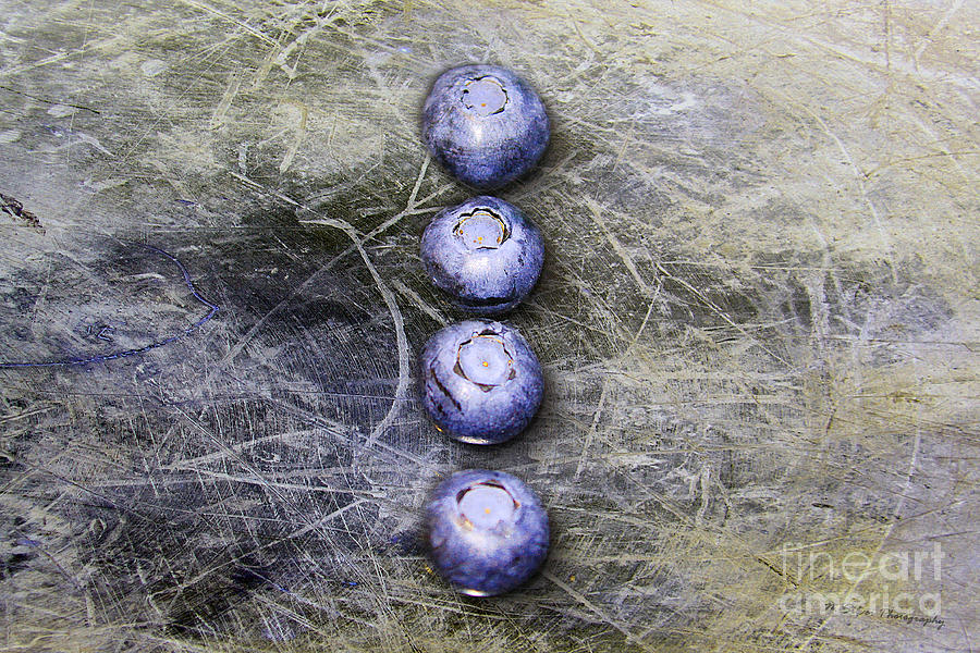Abstract Photograph - Blueberry Buttons by Nina Silver