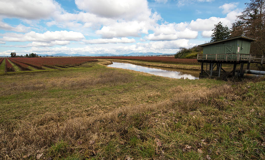 Blueberry Field and Pump House Photograph by Tom Cochran