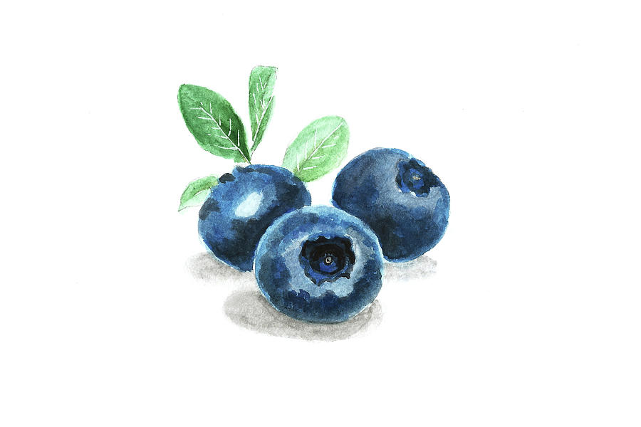 Blueberry Painting by Masha Batkova