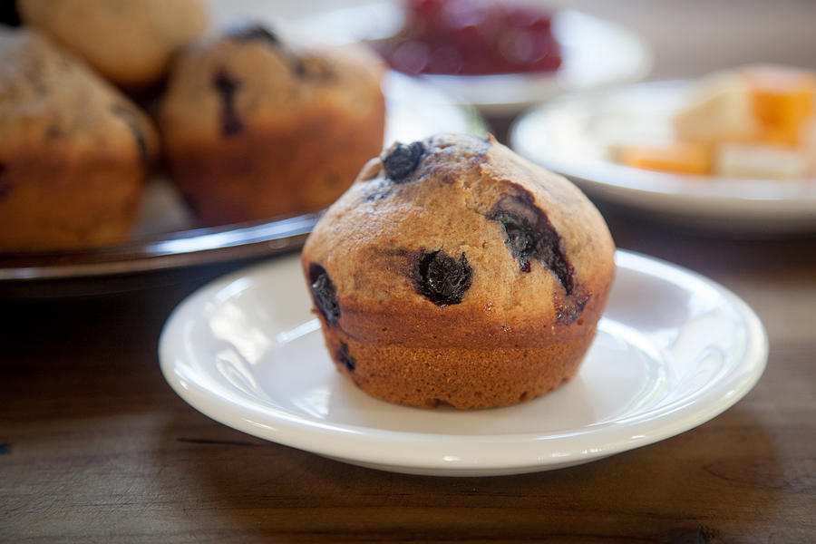 Cake Photograph - Blueberry Muffin on White Plate by Erin Cadigan