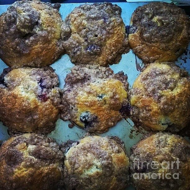 Blueberry muffins Photograph by Kari Myres