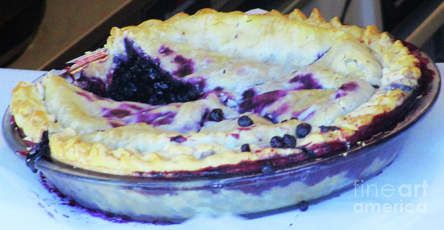 Blueberry Pie Photograph by Randall Weidner