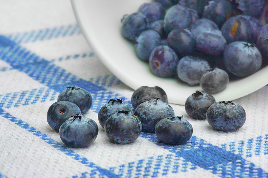 Blueberry - Still Life Photograph by Nikolyn McDonald