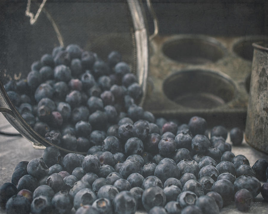 Blueberry Tumble Photograph by Teresa Wilson