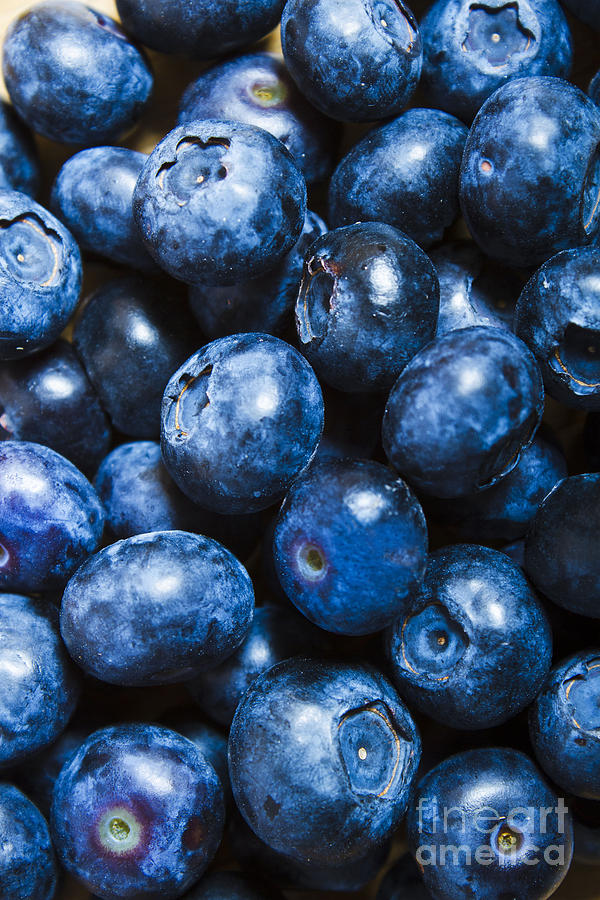 Blueberrys background Photograph by Jorgo Photography