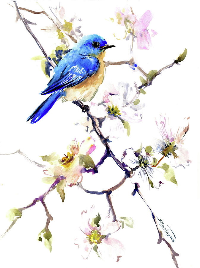 Bluebird Painting - Bluebird and Dogwood by Suren Nersisyan