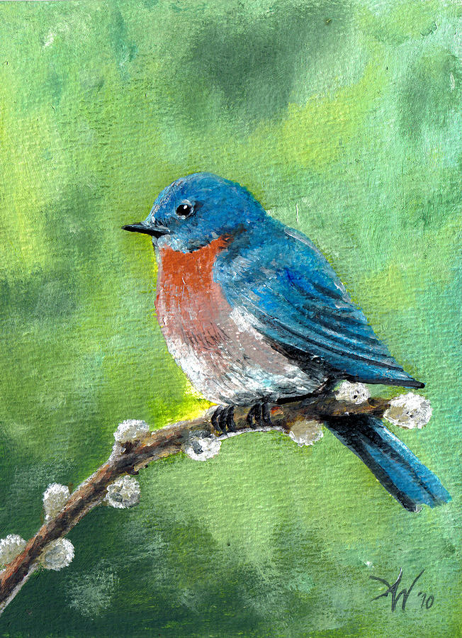 Bluebird Painting by Arie Van der Wijst