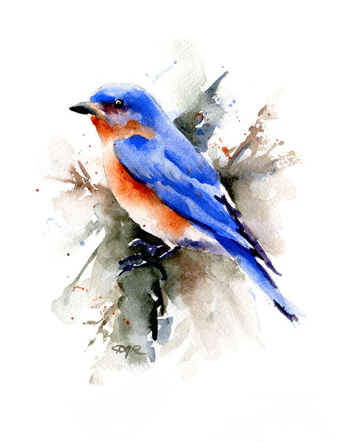 Bluebird Painting - Bluebird by David Rogers