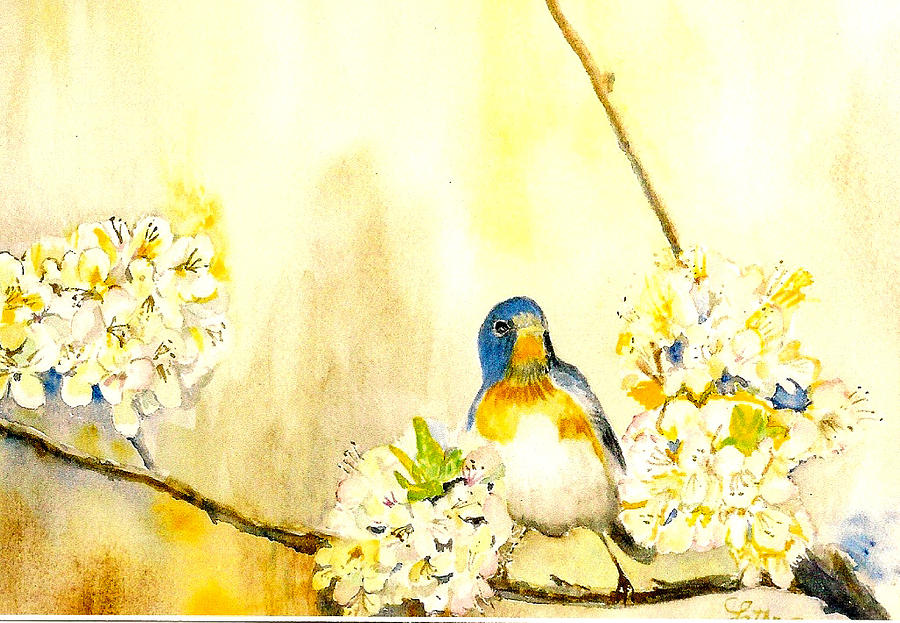 Bluebird in Apple Tree Painting by Christine Lathrop