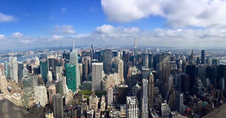 Bluebird in New York Photograph by Tanner Allen - Fine Art America