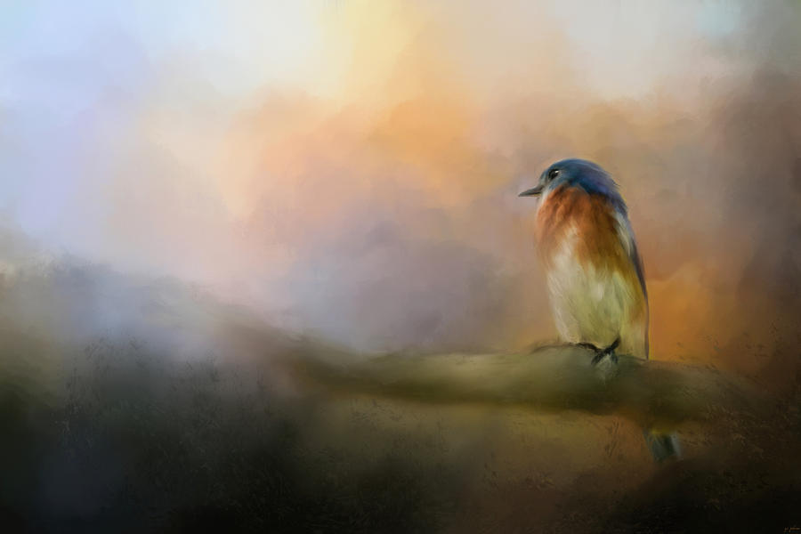 Bird Painting - Bluebird In The Perfect Light by Jai Johnson