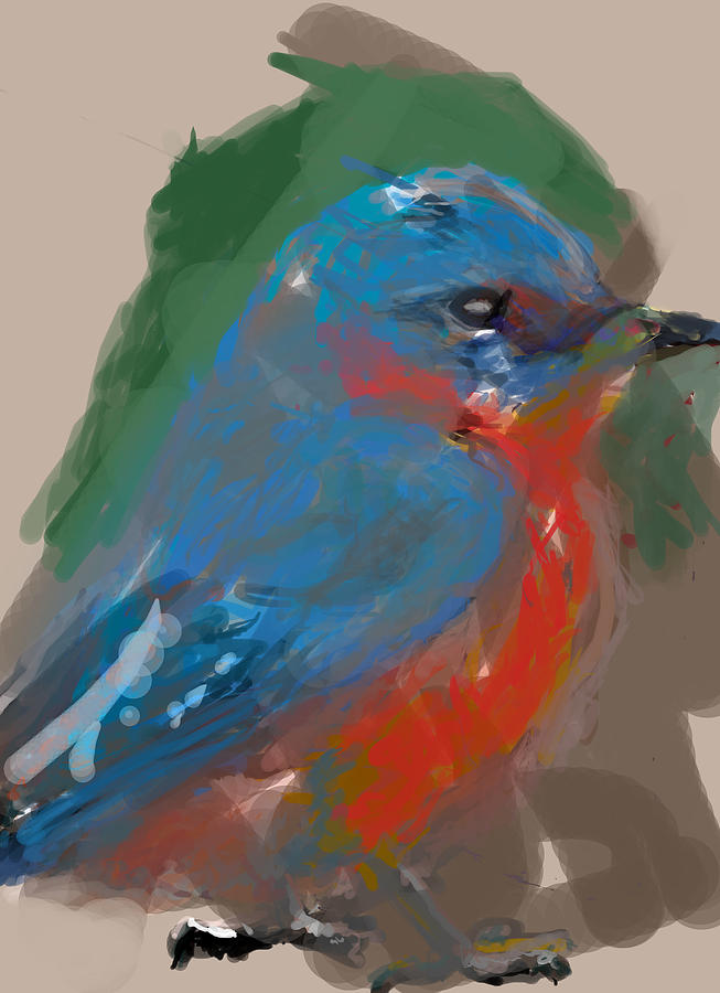 Species Digital Art - Bluebird by James Thomas Species Digital Art - Bluebird by James Thomas