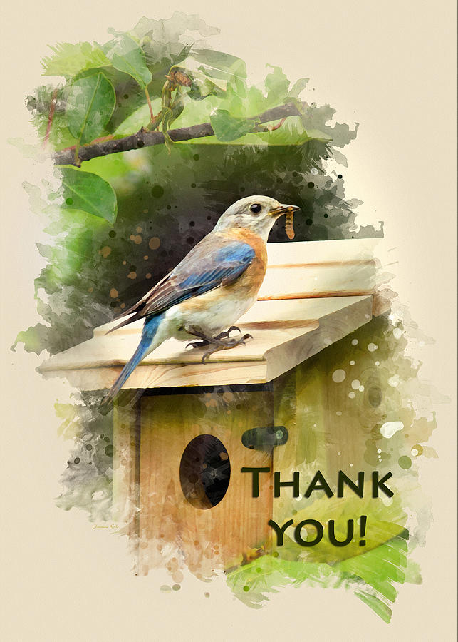 Bluebird Watercolor Thank You Card Mixed Media by Christina Rollo