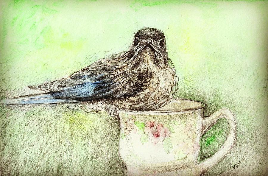 Bluebird with Teacup Mixed Media by AnneMarie Welsh