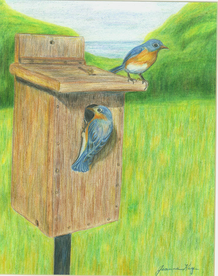 Bluebirds Painting by Jeanne Juhos