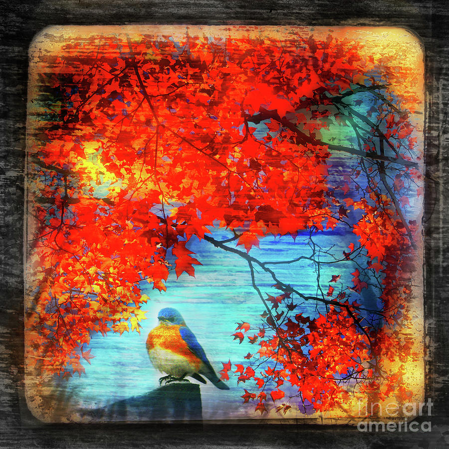 Bluebirds song Digital Art by Gina Signore