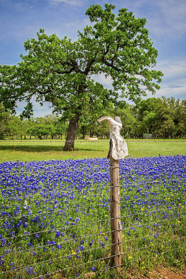 Bluebonnet Boot on the Willow City Loop Photograph by Lynn Bauer